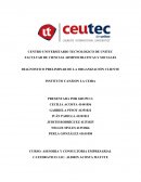 DIAGNOSTICO PRELIMINAR DE LA ORGANIZACIÓN CLIENTE