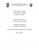 PRODUCCIÓN DE PAPRIKA ORGÁNICA (PULVERIZADA)