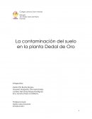 La contaminación del suelo en la planta Dedal de Oro