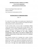 Racionalidad en la cosmovisión andina