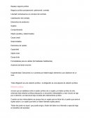 Repaso negocio juridico. Negocio jurídico pluripersonal patrimonial: contrato