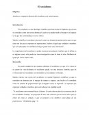 El socialismo. Analizar y comprar la historia del socialismo con varios autores