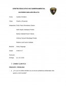 ¿Por qué el cambio climático es uno de los problemas ambientales más graves a nivel mundial?