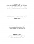 FICHA DE LECTURA “LINEAMIENTOS DE POLÍTICA PÚBLICA PARA LA FAMILIA EN EL MUNICIPIO DE MANIZALES”