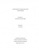 COMPORTAMIENTO ORGANIZACIONAL SEGÚN STEPHEN ROBBINS