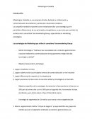 Metalúrgica Vandella