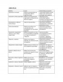 LÍNEA ROJA LÍNEA BLANCA