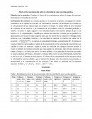 Efecto de la concentración sobre la velocidad de una reacción química