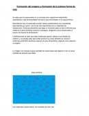 Formación del oxigeno y formación de la primera forma de vida