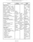 Modelo de Planificación Estrategia Metodológicas