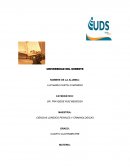 ORGANIZACIÓN Y ATRIBUCIONES DEL MINISTERIO PÚBLICO