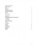 Proyecto Prototipo de Mini Refrigerador Casero Portátil