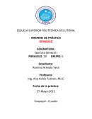 INFORME DE PRÁCTICA DENSIDAD