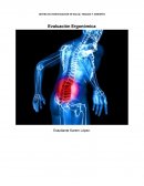 Evaluación Ergonomíca en puesto de trabajo