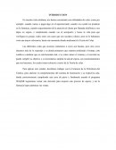 Fundamentos Teóricos