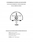 Posesión y Tenencia - Derechos Reales