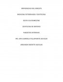 MEDICINA VETERINARIA Y ZOOTECNIA