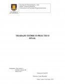 TRABAJO TEÓRICO-PRÁCTICO FINAL