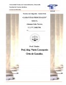 Garantías procesales en la constitución nacional: Análisis del derecho