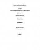 Informe (experimento filtro de agua casero)