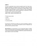 CASOS FORMULACION Y EVALUACION DE PROYECTOS