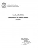 Producción de Abejas Reinas para exportar a Canadá