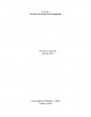 IDEA DE UNA INVESTIGACION EJEMPLO