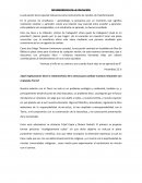 METAMORFOSIS EN LA EDUCACION