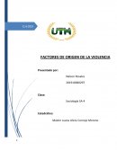 Factores de Origen de la Violencia
