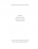 Requerimientos funcionales de un sistema de información