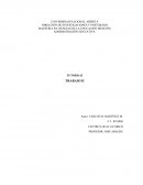 Ensayo sobre el Marco Teórico de la Investigación