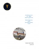 Medio informe Industrial Glover Ltda