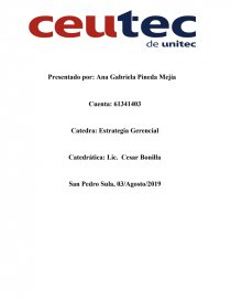 ESTRATEGIA EMPRESARIAL CASO DE ESTUDIO: DOS PINOS. Página 1