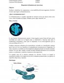 Bioquímica bioluminiscente bacteriana