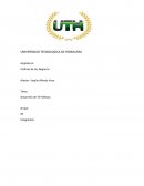 Desarrollo de 70 Políticas