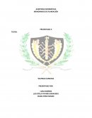 AUDITORIA INFORMÁTICA MEMORANDO DE PLANEACIÓN