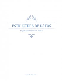 Proyecto Modular, Estructura de Datos. Página 1