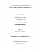 INFORME DE DIAGNOSTICO DISTRIBUIDORA LAP DIAGNOSTICO ORGANIZACIONAL DISTRIBUIDORA LAP SAS