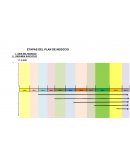 ETAPAS DEL PLAN DE NEGOCIO