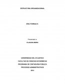 Estructura organizacional