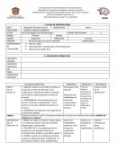 Planeacion de la semana de diagnostico