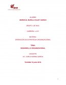 DESARROLLO ORGANIZACIONAL D.O