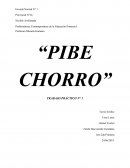 Trabajo práctico: “PIBE CHORRO”