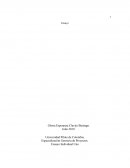 Gerente de proyectos