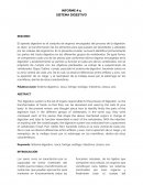 Sistema digestivo de los vertebrados