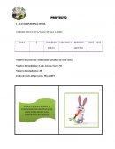 Proyectos de hortalizas de ciclo corto