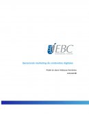 Generando marketing de contenidos digitales