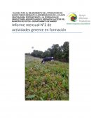 Alianza para el mejoramiento de la producción de queso fresco mediante la modernizacion de la planta procesadora