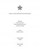 Evidencia 1 Ensayo La importancia de las redes de transporte