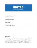 Entregable Final Auditoria administrativa